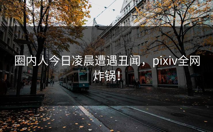 圈内人今日凌晨遭遇丑闻,pixiv全网炸锅! 圈内人今日凌晨遭遇丑闻,pixiv全网炸锅!