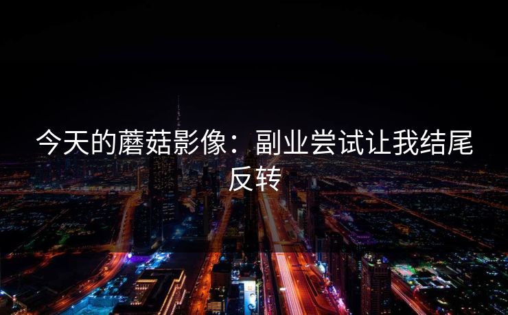 今天的蘑菇影像：副业尝试让我结尾反转